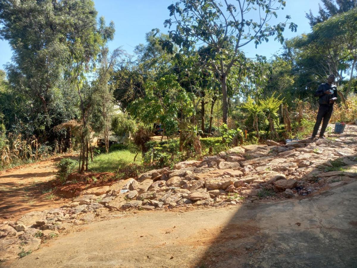 Emmy'S Backpackers Hostel Iringa Exterior foto