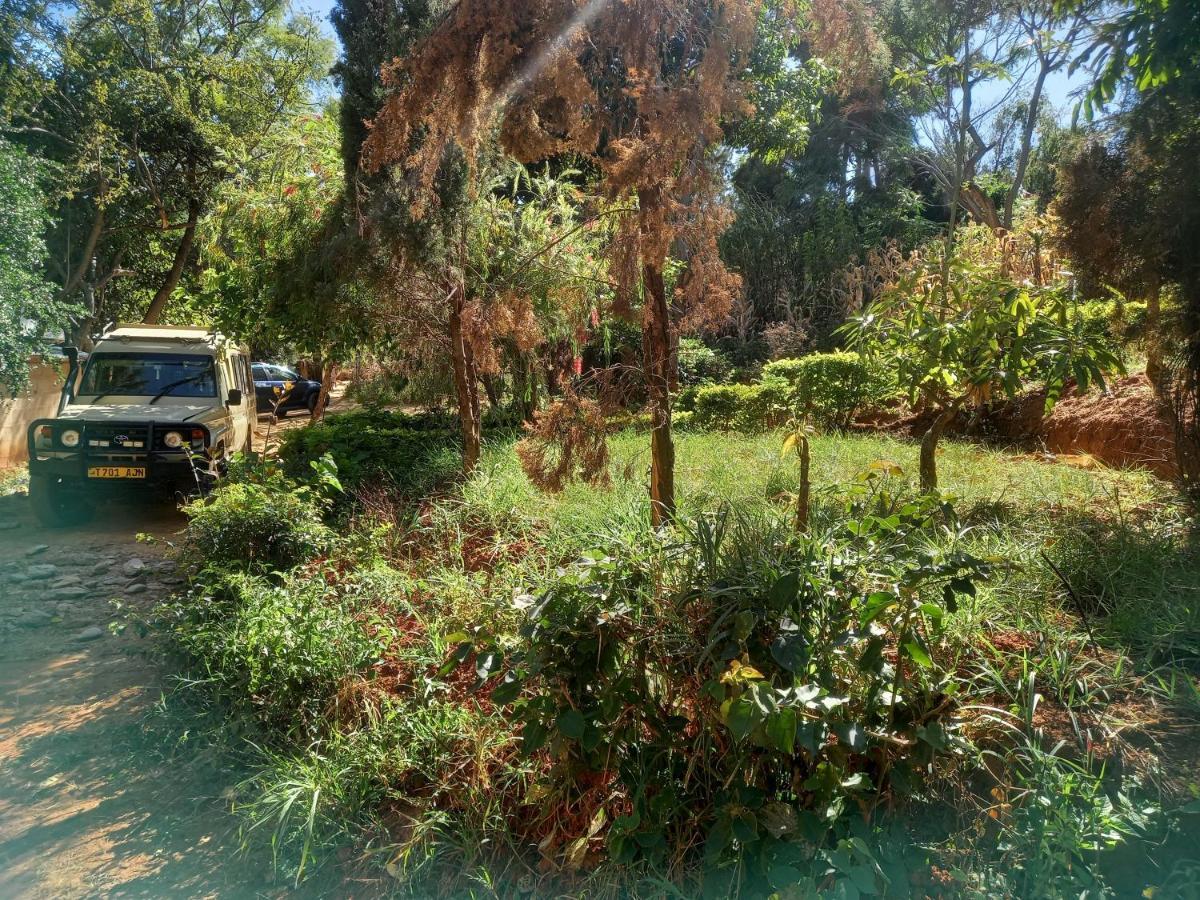 Emmy'S Backpackers Hostel Iringa Exterior foto